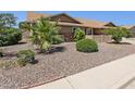 View of the front yard showing rock cover, a palm tree and well maintained shrubbery at 6546 E Dallas St, Mesa, AZ 85205