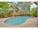 Backyard swimming pool surrounded by lush landscaping, perfect for relaxing or entertaining at 8968 W Adam Ave, Peoria, AZ 85382