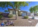 Charming single-story home with desert landscaping, mature trees, and a well-maintained front lawn at 25659 W Forest Grove Ave, Buckeye, AZ 85326