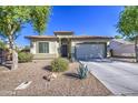 Inviting single-story home with low-maintenance landscaping, mature trees, and a welcoming facade at 25659 W Forest Grove Ave, Buckeye, AZ 85326