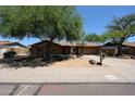 Inviting single-story home with mature trees, desert landscaping, and a two-car garage at 4516 E Willow Ave, Phoenix, AZ 85032