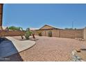 Large desert landscaped backyard featuring a low block fence and mature desert plants at 11038 W Oraibi Dr, Peoria, AZ 85373