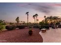 Beautiful backyard oasis with desert landscaping, mature palm trees, and a view of the golf course at 13219 W Santa Ynez Dr, Sun City West, AZ 85375