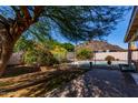 Beautiful backyard, surrounded with lush greenery, with view of the pool, perfect for entertaining at 3018 W Country Club Ter, Phoenix, AZ 85027
