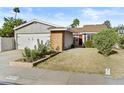 Charming single-story home with a well-maintained lawn and inviting curb appeal at 2313 N 87Th Way, Scottsdale, AZ 85257