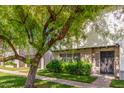 Charming condo featuring mature shade trees, verdant lawns, and a welcoming walkway at 3821 N 28Th St, Phoenix, AZ 85016