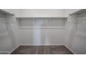 Walk-in closet with carpet flooring and shelving, providing ample storage space for organizing clothes and accessories at 2586 E Music Mountain Ave, Apache Junction, AZ 85119