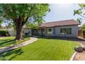 Spacious backyard featuring lush lawn, mature trees, and a charming stone walkway leading to the patio at 3109 N Meadow Dr, Avondale, AZ 85392