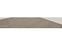 Close-up of plush carpet with neutral color, perfect for adding comfort and warmth to any room at 8577 W Trenton Ct, Florence, AZ 85132