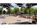 Park area featuring a cornhole setup, picnic tables, and grassy area for activities at 23334 W Mobile Ln, Buckeye, AZ 85326