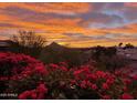 Beautiful sunset view over distant mountains and blooming red flowers in foreground at 6512 N 31St Way, Phoenix, AZ 85016