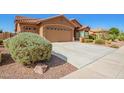 Single-story home with a large driveway and desert landscaping, offering great curb appeal at 11242 E Onza Ave, Mesa, AZ 85212