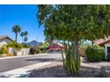 Street view showcasing the surrounding neighborhood, lush landscaping, and mountain backdrop at 13593 N 91St Way, Scottsdale, AZ 85260