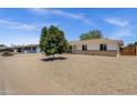 Inviting single-story home with desert landscaping, and a lush green tree in the front yard at 3116 W Calavar Rd, Phoenix, AZ 85053