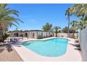 Sparkling blue pool surrounded by palm trees, a patio, and a fenced yard at 4079 E Yucca St, Phoenix, AZ 85028