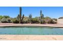 Sparkling pool with desert landscaping and cactus for privacy and beauty at 9722 S 45Th Ave, Laveen, AZ 85339
