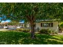 Traditional single-story home with a well-manicured lawn and mature landscaping at 1423 E 1St St, Mesa, AZ 85203