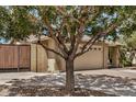 Exterior of tan brick home featuring a large tree shading the front yard at 2256 S Las Flores --, Mesa, AZ 85202