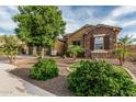 Landscaped front yard with stone accents and mature landscaping at 2741 E Odessa St, Mesa, AZ 85213