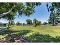 Expansive green lawn with mature trees, a scenic pond, and recreational amenities in the community at 3307 E Kings Ave, Phoenix, AZ 85032