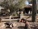 Charming front yard with desert landscaping, gravel, various cacti, pottery and statues at 401 W Cape Royal Ln, Phoenix, AZ 85023