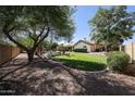 Expansive backyard with lush green grass, mature trees, and a view of the charming single-story home at 5521 W Northwood Dr, Glendale, AZ 85310