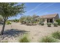 Spacious backyard featuring desert landscaping, flowering trees, and privacy hedges, perfect for outdoor living at 841 E Farmers Ln, Queen Creek, AZ 85140