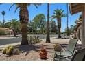 A charming front yard view from the house's patio, showcasing desert landscaping and mature palm trees along a quiet street at 932 Leisure World --, Mesa, AZ 85206