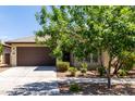 Well-maintained home exterior with a two-car garage, desert landscaping, and a paved driveway under a tree at 10059 E Tamery Ave, Mesa, AZ 85212