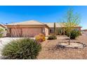 Charming single-story home with xeriscaped front yard and a two-car garage at 10539 W Tamara Dr, Casa Grande, AZ 85193