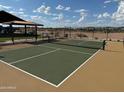 Community amenity featuring a pickleball court with green surface, surrounding fence, and blue sky backdrop at 18090 W Creedance Blvd, Surprise, AZ 85387