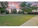 Expansive backyard with well-maintained lawn, offering ample space for recreation and outdoor activities at 1886 S 141St Pl, Gilbert, AZ 85295