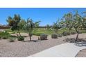 Scenic view of a community green space with lush landscaping, perfect for relaxing walks at 39985 W Sparks Ln, Maricopa, AZ 85138