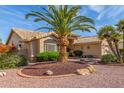 Single-story home with manicured desert landscaping and a large palm tree in the front yard at 17543 N Rainbow Cir, Surprise, AZ 85374