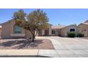 Inviting single-level home with a well-kept yard and mature tree providing shade at 2041 E Palm Beach Dr, Chandler, AZ 85249