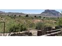 Scenic desert landscape with various plants and views of the mountainous terrain against a clear sky at 829 W Spray St, Superior, AZ 85173