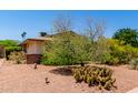 Desert landscaping with mature cactus and gravel in the yard at 2716 S Terrace Rd, Tempe, AZ 85282