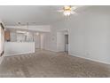 Open-concept living space showing the kitchen and a nearby utility closet, with neutral carpet at 330 S Valley Dr, Apache Junction, AZ 85120