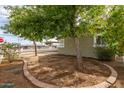 Desert landscaping featuring green trees with brick lined beds at 3802 N 50Th Ave, Phoenix, AZ 85031