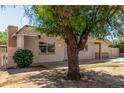 Tan home with a large tree blocking most of the front yard with a view of the front door at 649 S Temple St, Mesa, AZ 85204