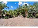 Long, paved driveway leading to a private estate, lined with palm trees and greenery at 6624 N 66Th N Pl, Paradise Valley, AZ 85253
