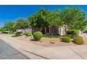 Inviting home with lush, mature landscaping, xeriscaping and a well manicured lawn at 1802 W Encinas St, Gilbert, AZ 85233