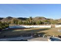 Expansive backyard featuring a large lawn, mature trees, and mountain views, perfect for relaxation and outdoor activities at 4304 W Calle Poco --, Laveen, AZ 85339