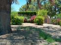 Charming yard with vibrant flowers, an arched gate, and mature trees adding character to the property at 6139 E Voltaire Ave, Scottsdale, AZ 85254