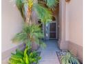 Close-up of the front entrance featuring lush plants and a decorative security door at 16333 E Crystal Point Dr, Fountain Hills, AZ 85268