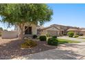Beautiful single-story home with mature landscaping, including a large shade tree, offering curb appeal at 1680 S Arroyo Ln, Gilbert, AZ 85295