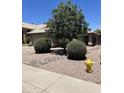 Lovely single-story house with a well-maintained yard, desert landscaping, and mature trees at 1040 W Juniper Ave, Gilbert, AZ 85233