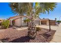 Single-story home with a large palm tree in the front yard and low-maintenance desert landscaping at 4515 E Verbena Dr, Phoenix, AZ 85044