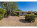 Cozy single-story home with desert landscaping, mature trees, and charming curb appeal on a sunny day at 1541 E Cinnabar Ave, Phoenix, AZ 85020
