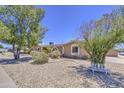 A low-maintenance front yard provides beautiful desert landscaping and trees at 2041 E Des Moines St, Mesa, AZ 85213